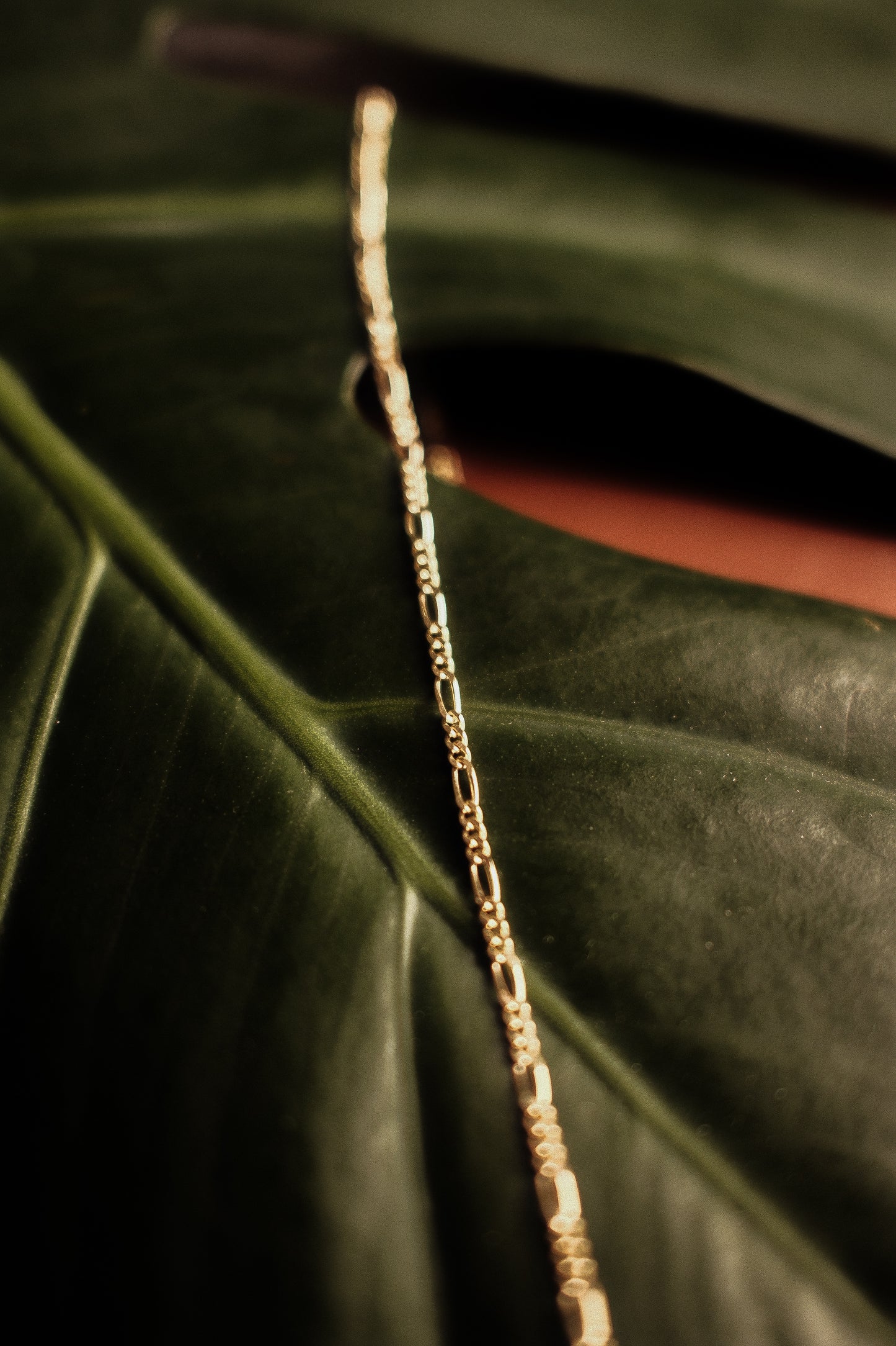 Assorted Solid 10K Gold Chains