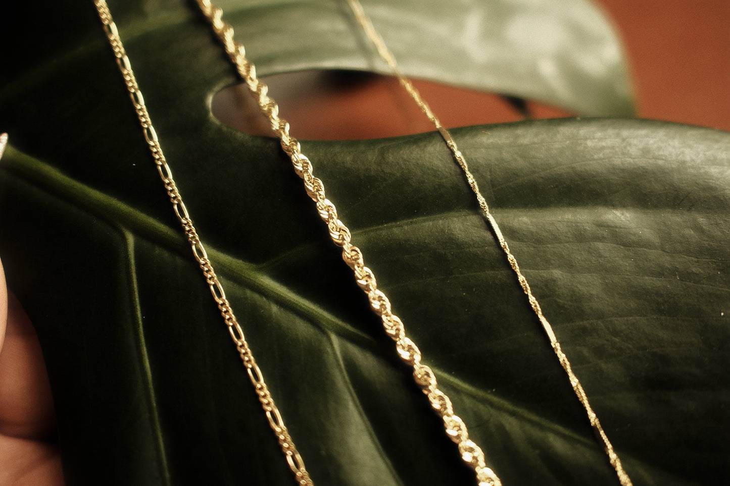 Assorted Solid 10K Gold Chains