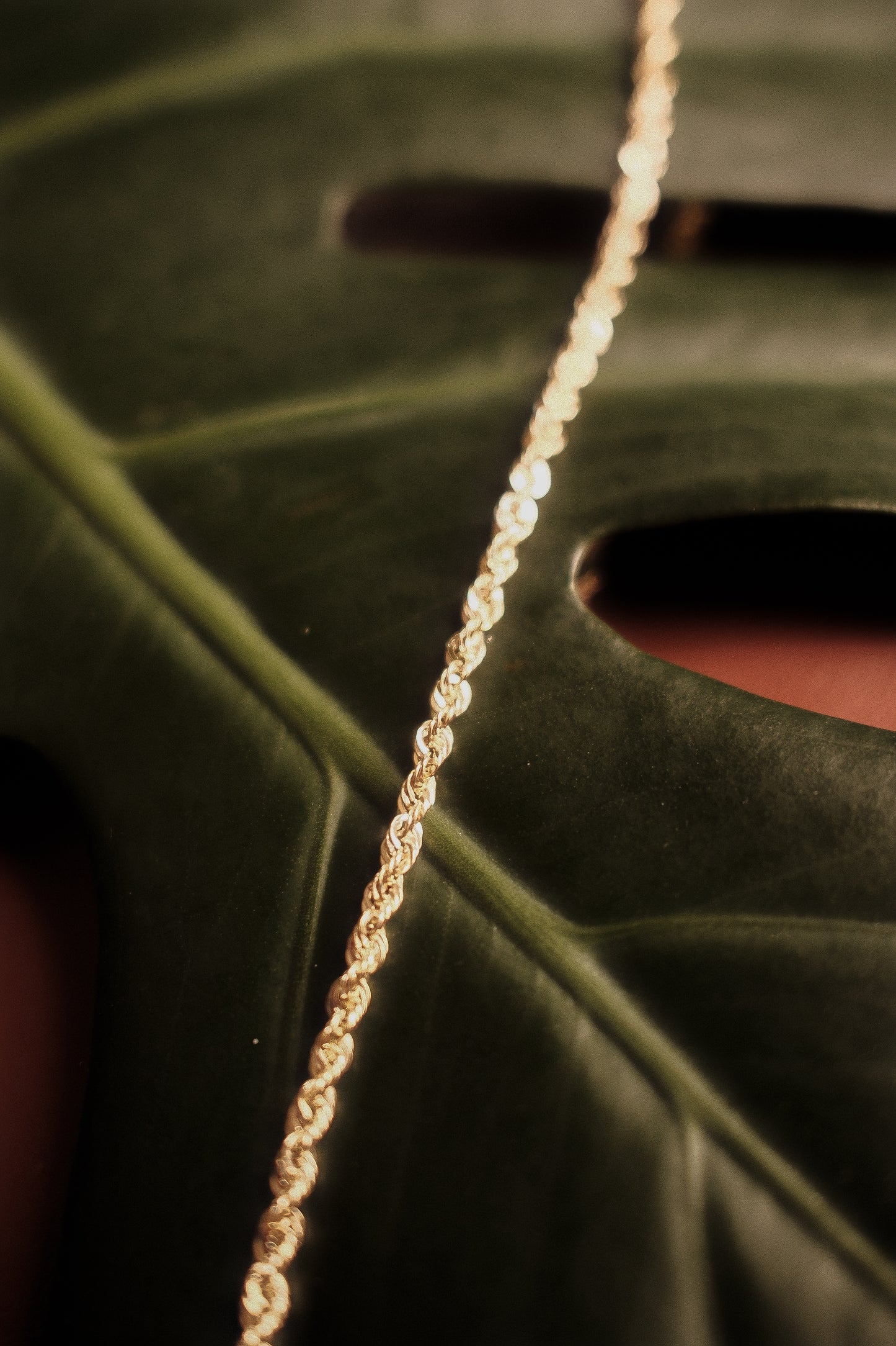 Assorted Solid 10K Gold Chains